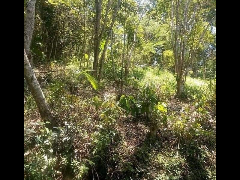 Terreno à venda centro com 3800m² e 1 quarto por R$ 60.000 - 1890268191-fb-img-1642607936397.jpg