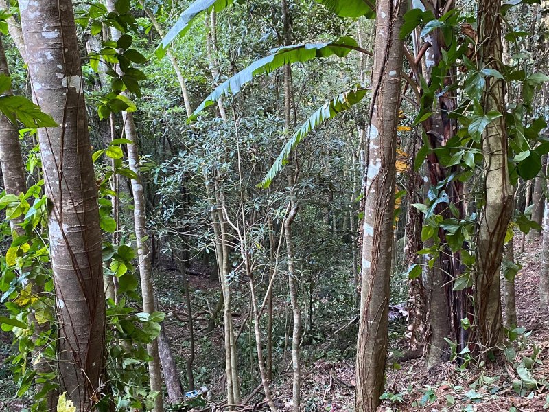 Terreno à venda Centro com 518m² e 1 quarto por R$ 85.000 - 1015939438-foto7.jpeg