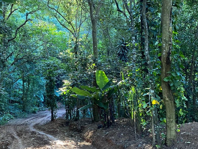 Terreno à venda Centro com 518m² e 1 quarto por R$ 85.000 - 1514182293-foto12.jpeg