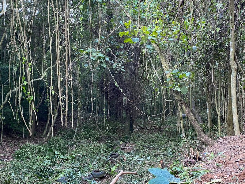 Terreno à venda Centro com 518m² e 1 quarto por R$ 85.000 - 1645014210-foto6.jpeg