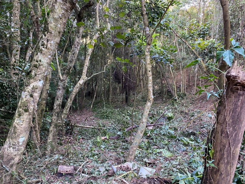 Terreno à venda Centro com 518m² e 1 quarto por R$ 85.000 - 1805314683-foto2.jpeg