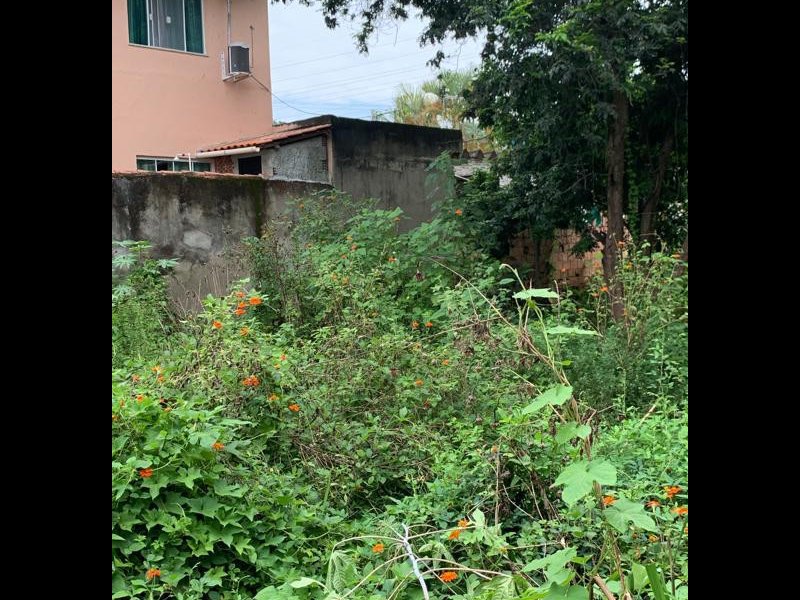 Terreno à venda Rocha com 1209m² e 1 quarto por R$ 300.000 - 1252766008-whatsapp-image-2022-03-14-at-13.jpeg