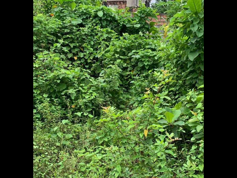 Terreno à venda Rocha com 1209m² e 1 quarto por R$ 300.000 - 1630908538-whatsapp-image-2022-03-14-at-13.jpeg