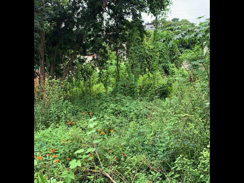 Terreno à venda Rocha com 1209m² e 1 quarto por R$ 300.000 - 1782909333-whatsapp-image-2022-03-14-at-13.jpeg