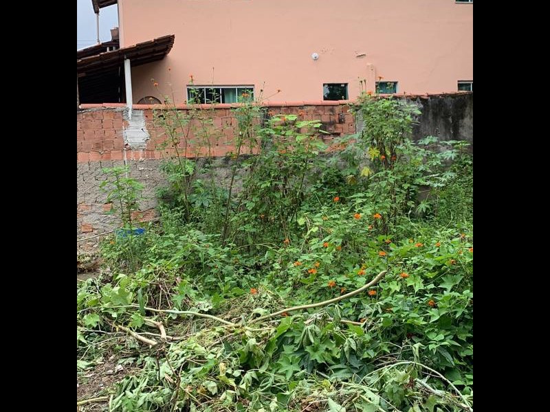 Terreno à venda Rocha com 1209m² e 1 quarto por R$ 300.000 - 205376460-whatsapp-image-2022-03-14-at-13.jpeg
