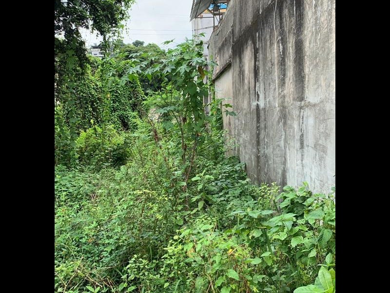 Terreno à venda Rocha com 1209m² e 1 quarto por R$ 300.000 - 219480837-whatsapp-image-2022-03-14-at-13.jpeg