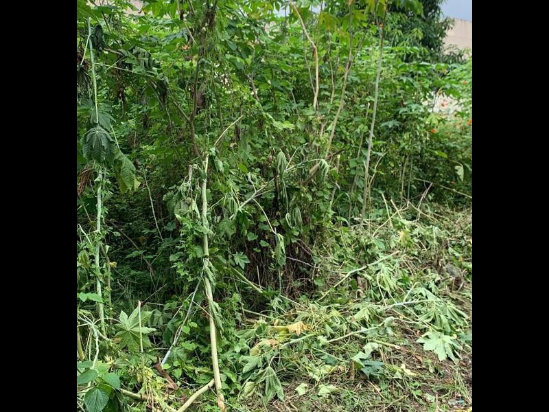 Terreno à venda Rocha com 1209m² e 1 quarto por R$ 300.000 - 239614089-whatsapp-image-2022-03-14-at-13.jpeg