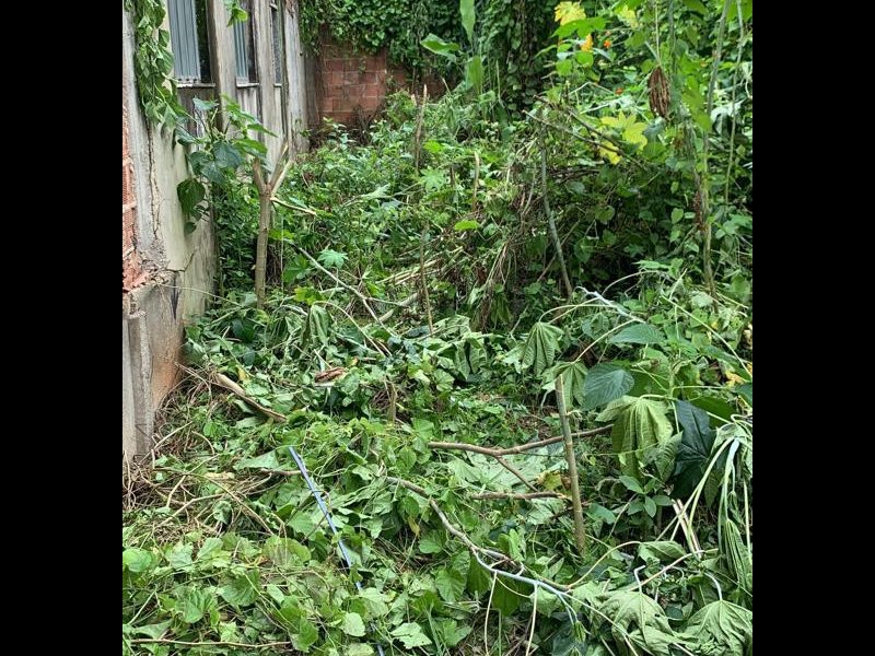 Terreno à venda Rocha com 1209m² e 1 quarto por R$ 300.000 - 480570325-whatsapp-image-2022-03-14-at-13.jpeg