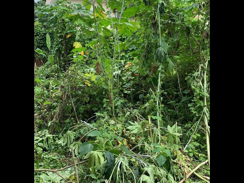 Terreno à venda Rocha com 1209m² e 1 quarto por R$ 300.000 - 729717654-whatsapp-image-2022-03-14-at-13.jpeg