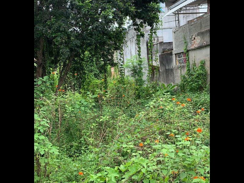 Terreno à venda Rocha com 1209m² e 1 quarto por R$ 300.000 - 813231571-whatsapp-image-2022-03-14-at-13.jpeg