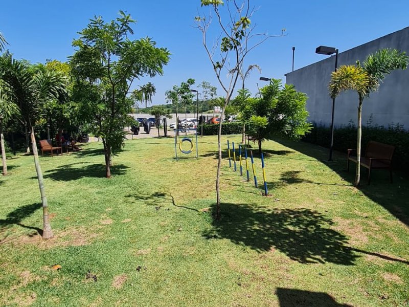 Apartamento à venda Jardim Ipaussurama com 64m² e 3 quartos por R$ 465.000 - 567239305-espaco-pet-2.jpeg