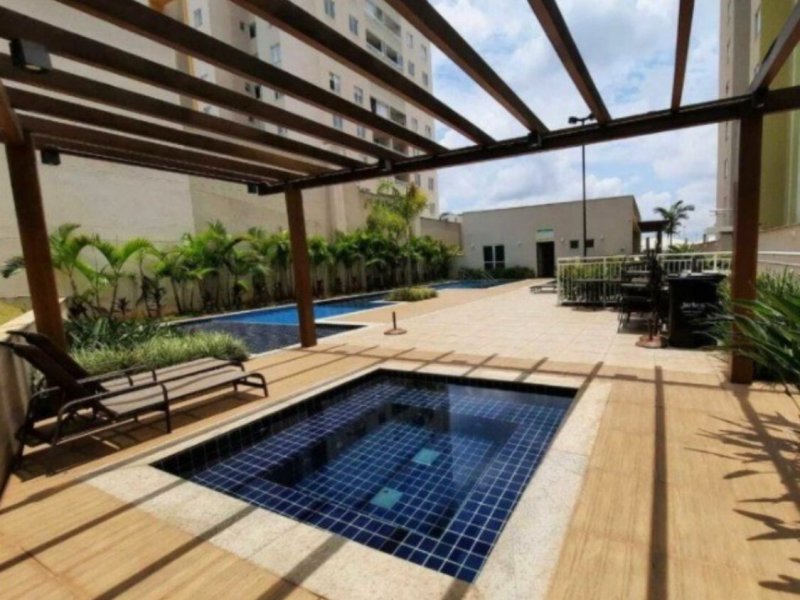 Apartamento à venda Palmeiras com 47m² e 2 quartos por R$ 320.000 - 1688518056-68eb16d8-95b5-48fd-b24d-e029305f442f.jpg