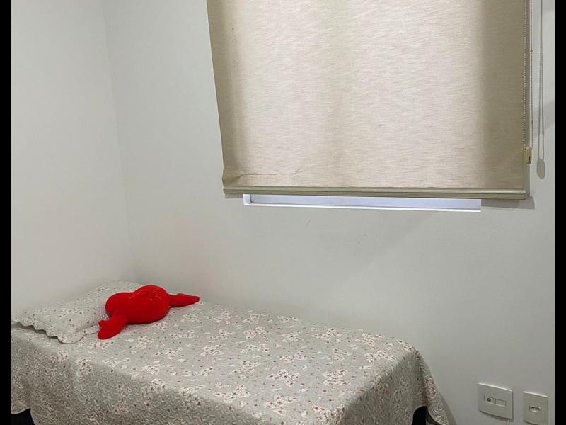 Apartamento à venda Palmeiras com 47m² e 2 quartos por R$ 320.000 - 444267212-a77d50ab-2dc5-4b4d-8384-12f1c29ed3cd.jpg