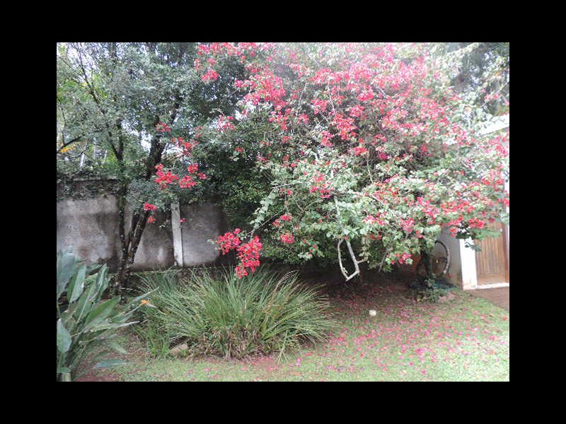 Casa à venda Chácara Santa Lúcia dos Ypes com 460m² e 4 quartos por R$ 2.000.000 - 914606698-whatsapp-image-2022-03-16-at-13.jpeg