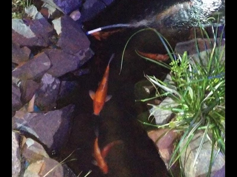 Apartamento à venda Jardim São José com 42m² e 2 quartos por R$ 170.000 - 327409255-img-20220225-wa0046.jpg