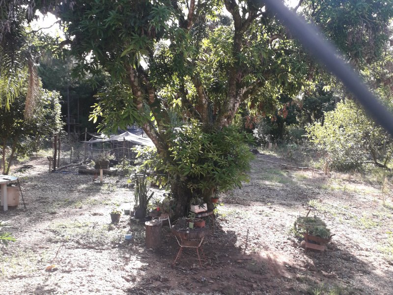 Chácara à venda Araçatuba com 350m² e 4 quartos por R$ 650.000 - 236856078-20220316-080521.jpg