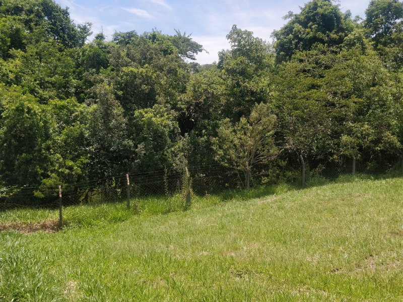 Terreno à venda Jardim Buru com 1038m² e 1 quarto por R$ 175.000 - 677799131-img-20211211-125752.jpg