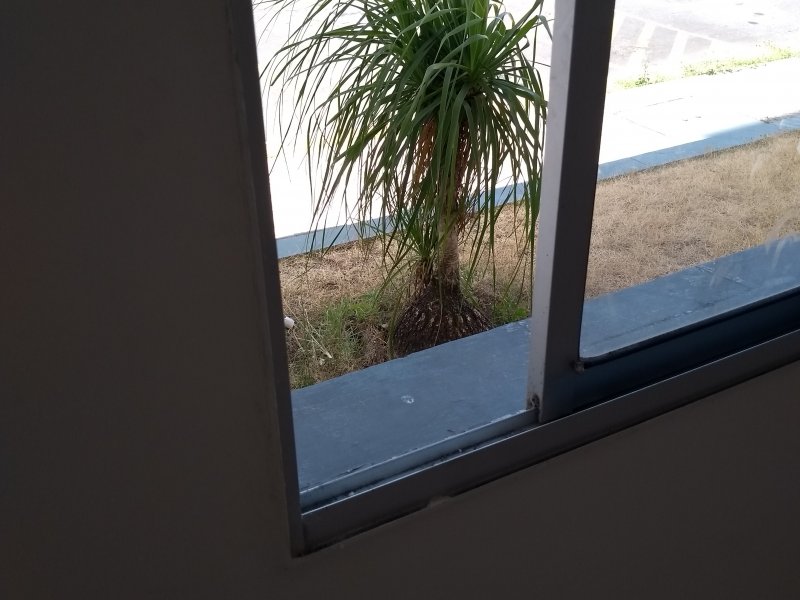 Apartamento para alugar Cidade Continental-Setor Oceania com 68m² e 2 quartos por R$ 800 - 562089969-img-20220316-133000.jpg