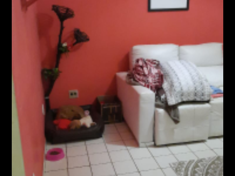 Apartamento à venda Conjunto Habitacional Inacio Monteiro com 42m² e 2 quartos por R$ 120.000 - 1689168658-screenshot-20211025-220645.png