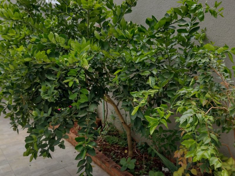 Casa à venda Residencial Vale do Sol com 172m² e 4 quartos por R$ 580.000 - 1427546304-whatsapp-image-2022-03-18-at-20.jpeg