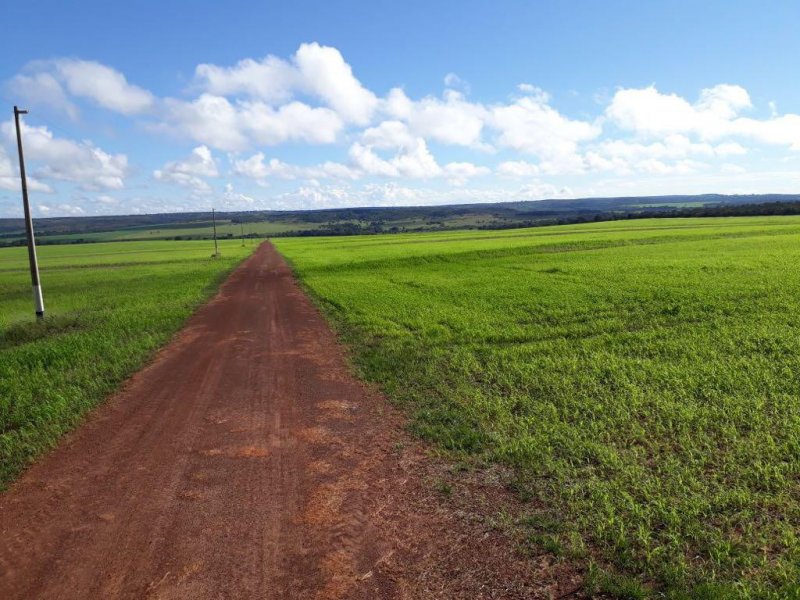 Apartamento à venda Centro Político Administrativo com 70m² e 3 quartos por R$ 500.000 - 1480132951-3ab552ea-8e20-4693-b65f-83310cc9ea0e.jpeg