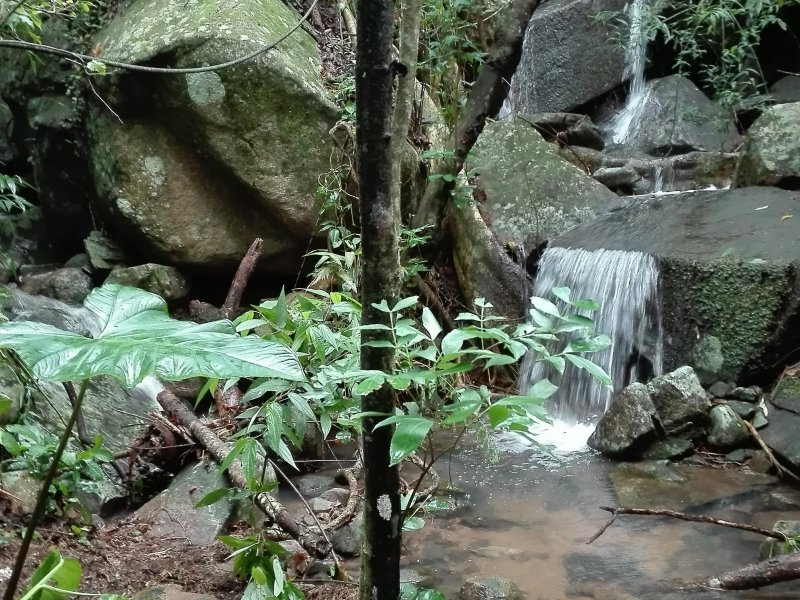 Terreno à venda Siriú com 48000m² e 1 quarto por R$ 2.300.000 - 1485104772-img-20190219-095849.jpg