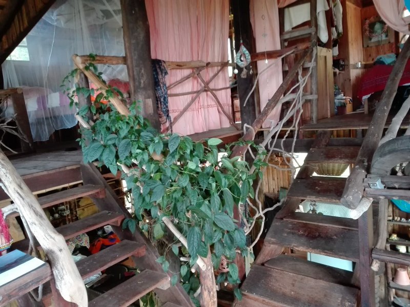 Terreno à venda Siriú com 48000m² e 1 quarto por R$ 2.300.000 - 791726248-img-20190122-154718.jpg