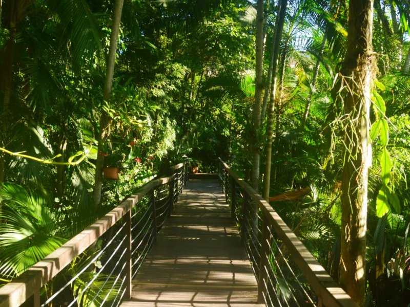 Sítio à venda Morro Estevão com 12000m² e 3 quartos por R$ 3.000.000 - 1571388465-whatsapp-image-2022-03-14-at-07.jpeg