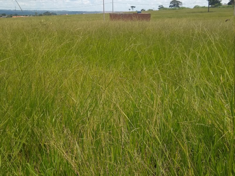 Terreno à venda Chácaras Recreio São João com 200m² e 1 quarto por R$ 12.000 - 169623398-img-20220320-133014345.jpg