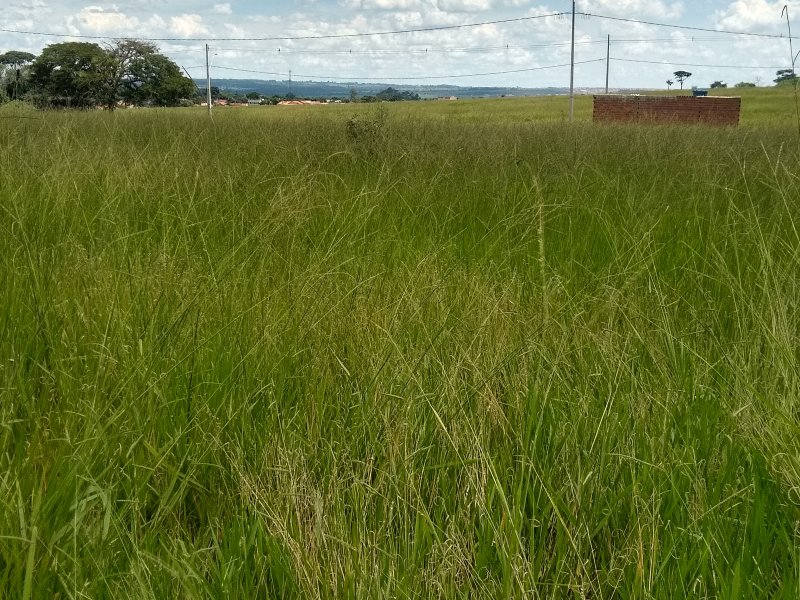 Terreno à venda Chácaras Recreio São João com 200m² e 1 quarto por R$ 12.000 - 1720968229-img-20220320-133024972-hdr.jpg