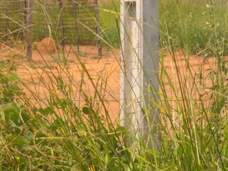 Terreno à venda Chácaras Recreio São João com 200m² e 1 quarto por R$ 12.000 - 2071831531-img-20220320-133001004.jpg