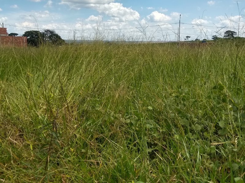 Terreno à venda Chácaras Recreio São João com 200m² e 1 quarto por R$ 12.000 - 42475969-img-20220320-132621530-hdr.jpg