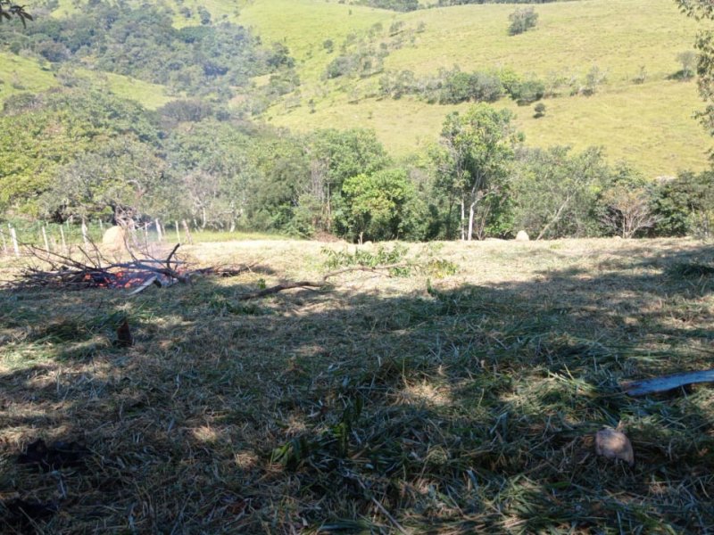 Chácara à venda Centro com 1000m² e 1 quarto por R$ 200.000 - 441700353-7.jpeg