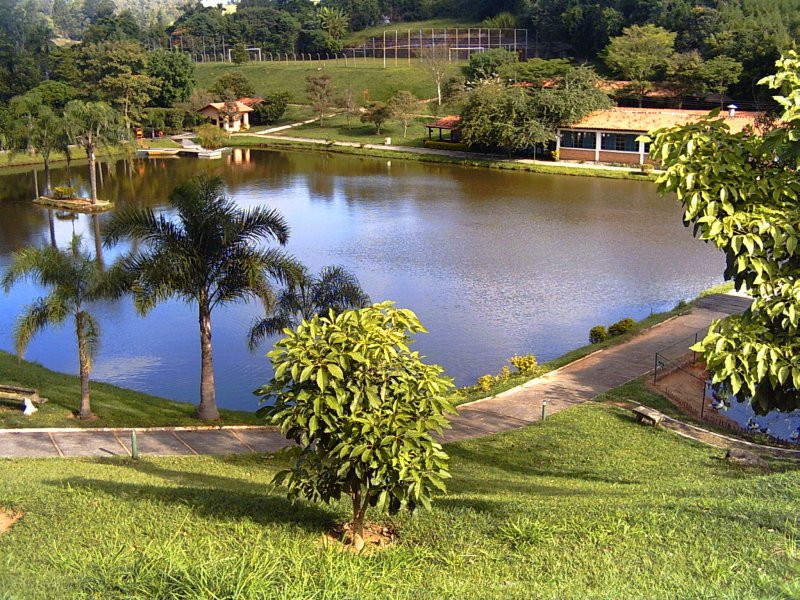Sítio à venda Tapera Grande com 4611080m² e 11 quartos por R$ 5.000.000 - 490940207-vista2.jpg