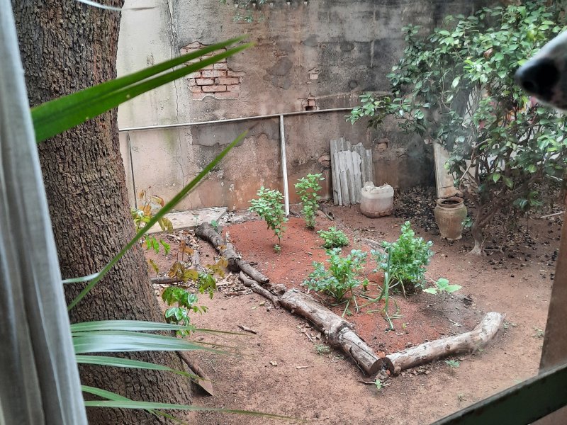 Casa à venda Centro com 484m² e 3 quartos por R$ 1.000.000 - 467813342-20201024-082429.jpg