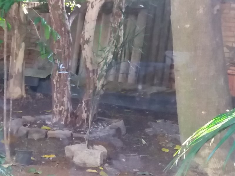 Casa à venda Centro com 484m² e 3 quartos por R$ 1.000.000 - 778928435-20200322-073953.jpg