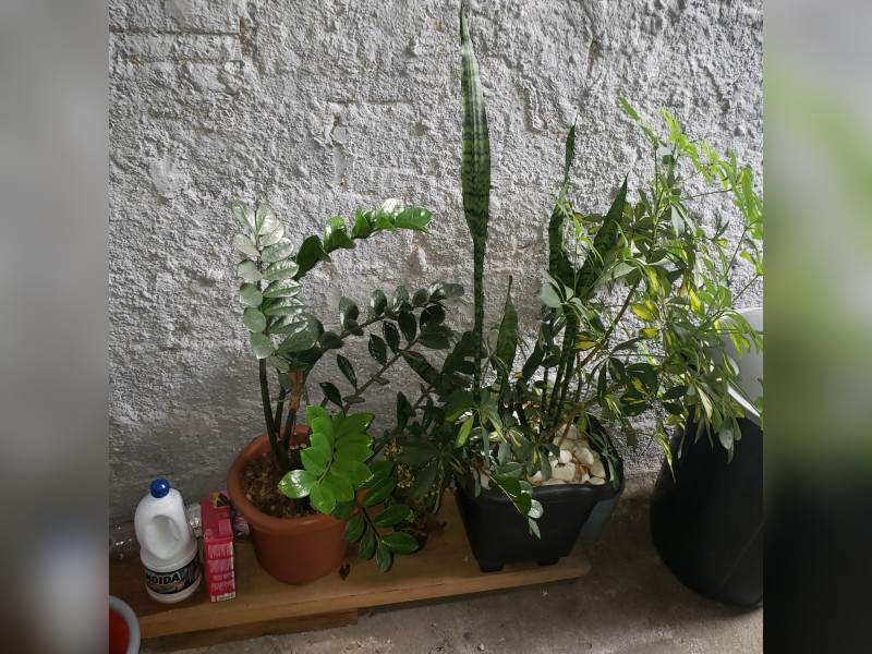 Comercial à venda Vila Carrão com 150m² e 1 quarto por R$ 400.000 - 20220413-094316.jpg