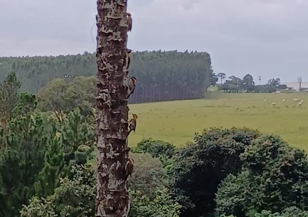 imóvel com 400m²