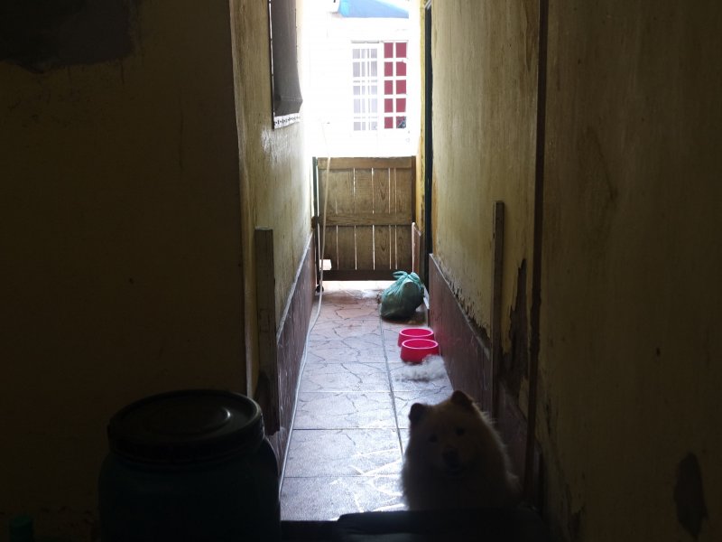 Casa à venda Ponto Chic com 100m² e 2 quartos por R$ 380.000 - 1285662700-sam-4038.JPG