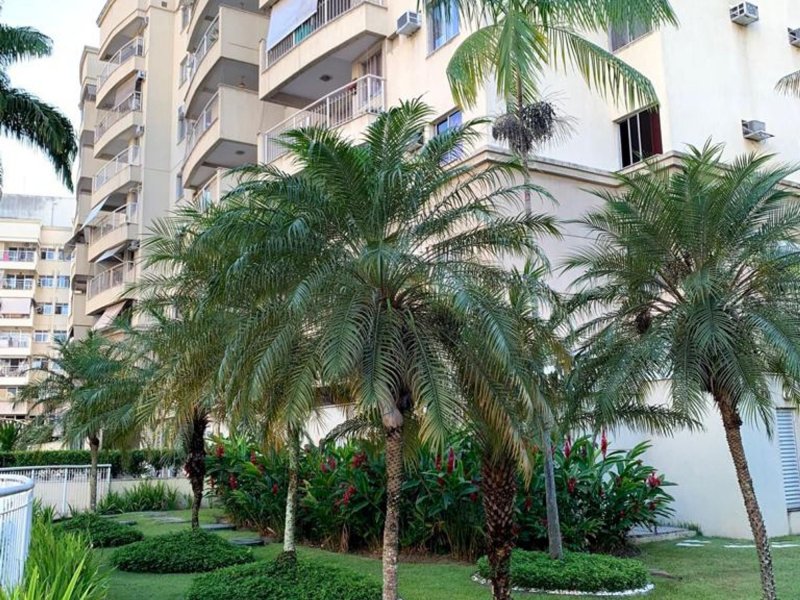 Apartamento à venda Pechincha com 76m² e 3 quartos por R$ 430.000 - 116951033-jardinagem.jpg