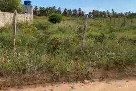 Terreno à venda Centro com 449m² - 1 dormitório -  vagas - R$ 450.000 - 147833186-lote-patacho.jpeg
