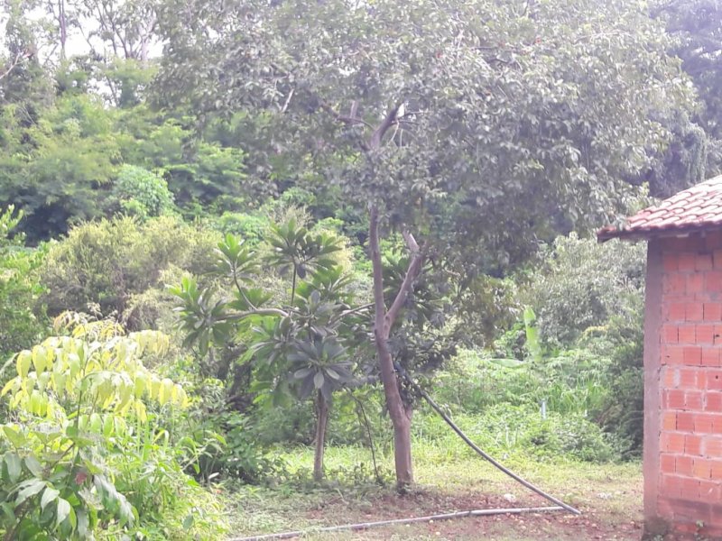 Sítio à venda Coxipó da Ponte com 70000m² e 3 quartos por R$ 250.000 - 1267688662-img-20220325-wa0060.jpg