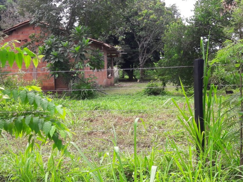 Sítio à venda Coxipó da Ponte com 70000m² e 3 quartos por R$ 250.000 - 1734188215-img-20220325-wa0064.jpg