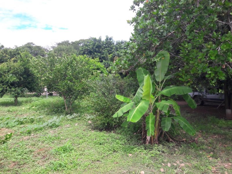 Sítio à venda Coxipó da Ponte com 70000m² e 3 quartos por R$ 250.000 - 2135584987-img-20220325-wa0062.jpg