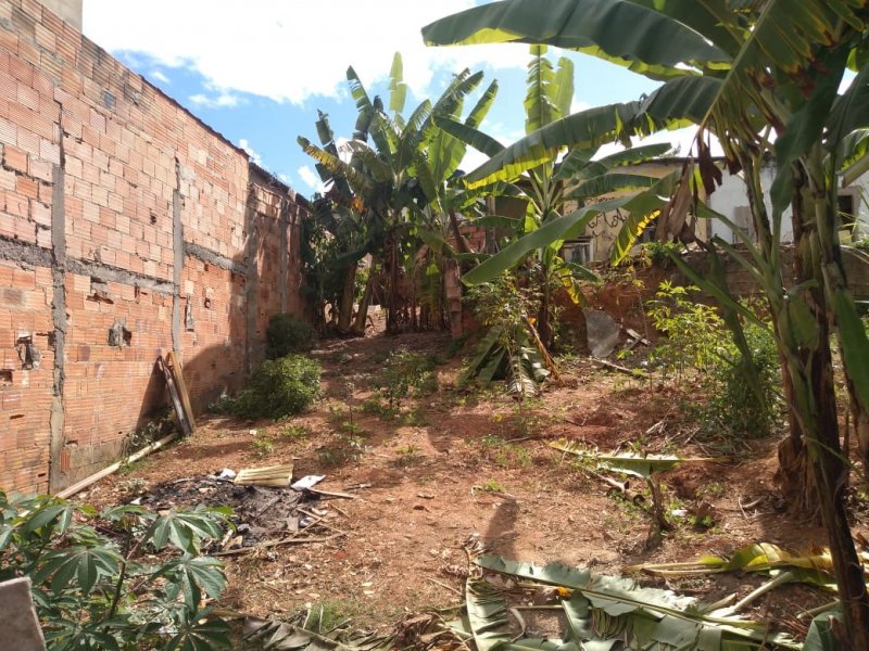 Terreno à venda Londrina (São Benedito) com 375m² e 1 quarto por R$ 250 - 1116959398-img-20220323-wa0077.jpg