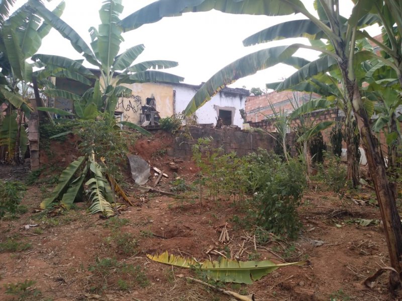 Terreno à venda Londrina (São Benedito) com 375m² e 1 quarto por R$ 250 - 1431564226-img-20220323-wa0091.jpg