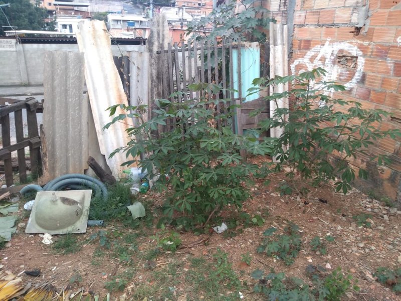 Terreno à venda Londrina (São Benedito) com 375m² e 1 quarto por R$ 250 - 565836650-img-20220323-wa0084.jpg