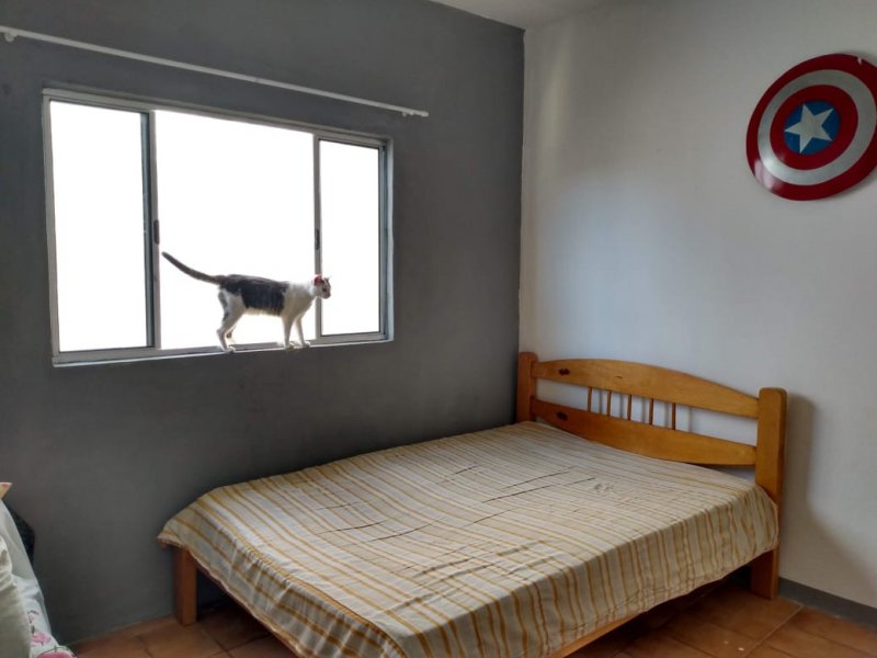 Casa à venda Jardim Matarazzo com 137m² e 3 quartos por R$ 330.000 - 873194156-img-20200615-wa0023.jpg