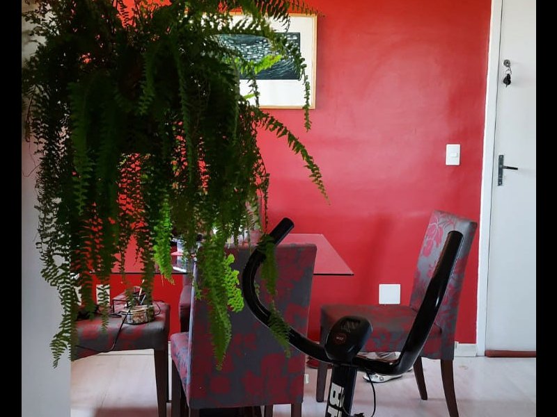 Apartamento à venda Glória com 38m² e 2 quartos por R$ 150.000 - 1170212793-img-20220404-wa0037.jpg