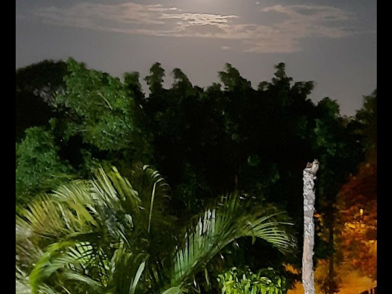 Apartamento à venda Glória com 38m² e 2 quartos por R$ 150.000 - 1192754746-img-20220404-wa0029.jpg